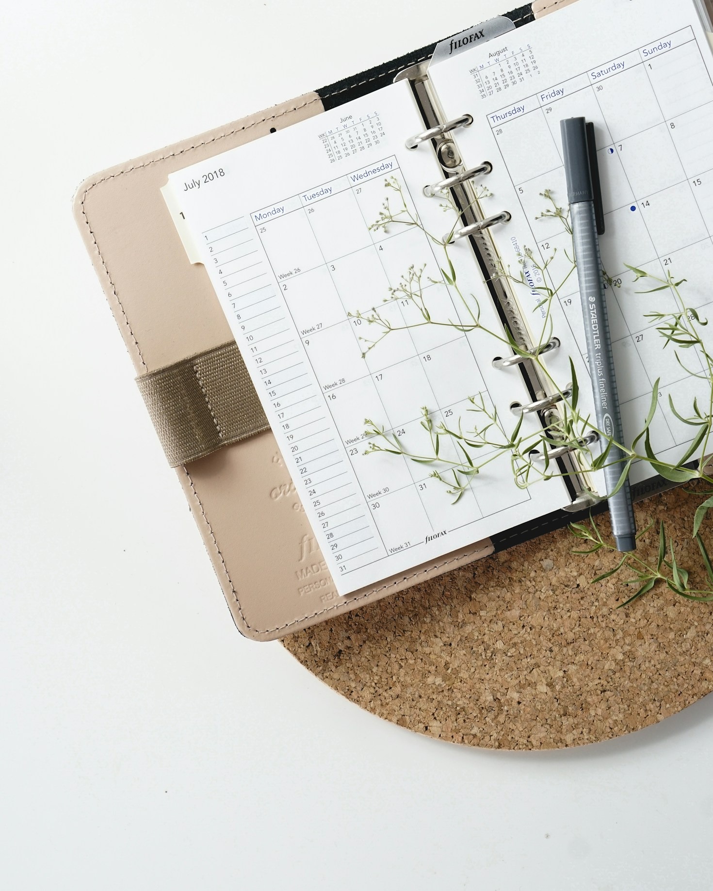 The Secret to Sustainable Growth for Organizations